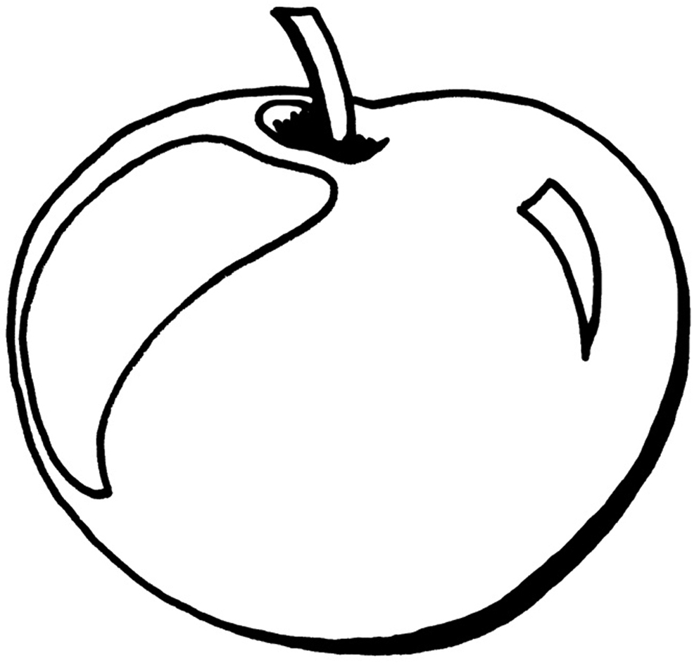 fruit apple